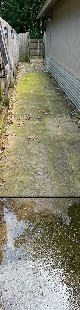 Concrete walkway before cleaning