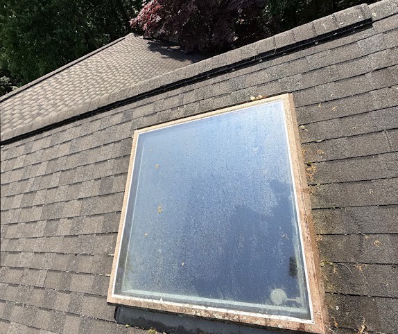 Exterior window before cleaning