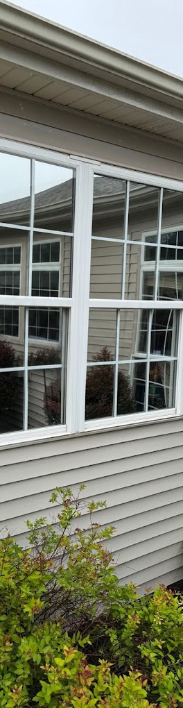 Siding and windows after cleaning